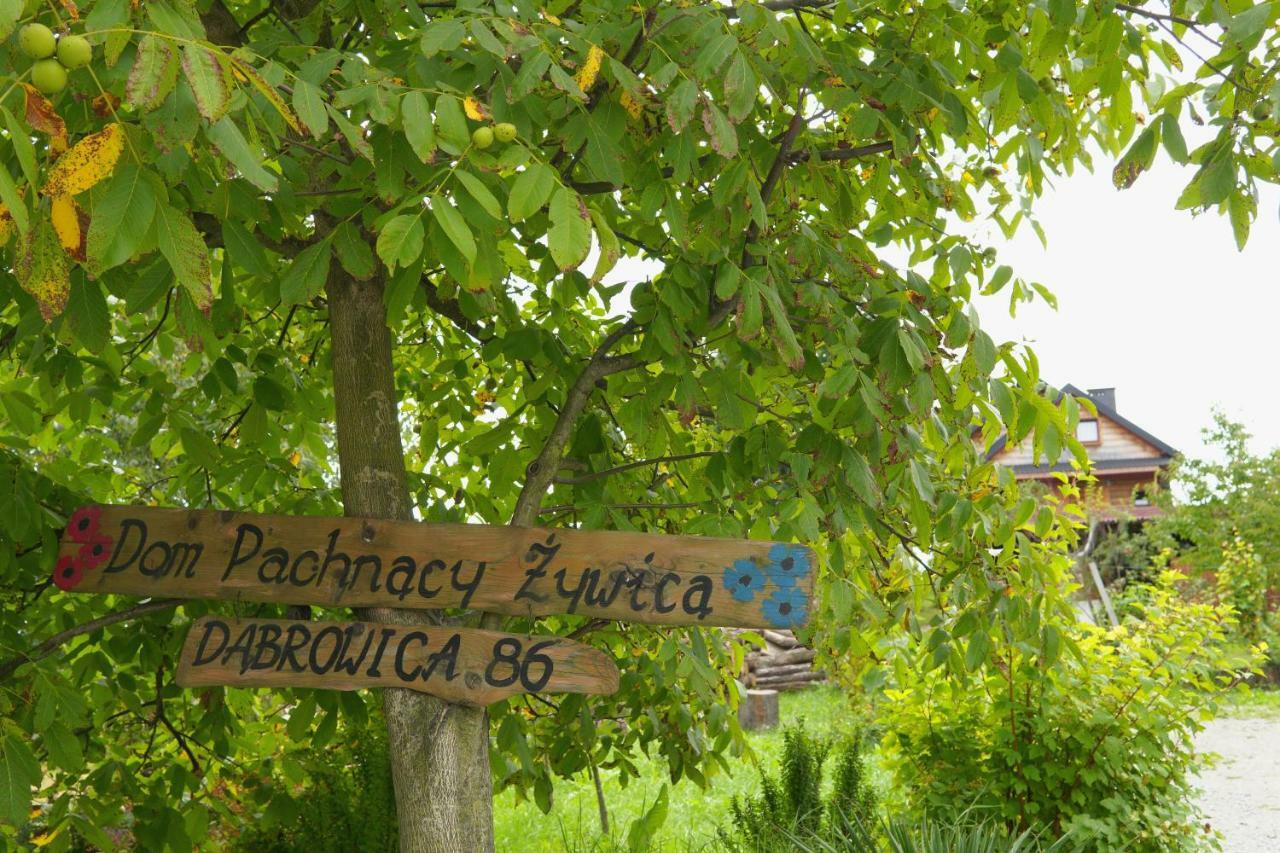 Dom Pachnacy Zywica Villa Bochnia Exterior photo